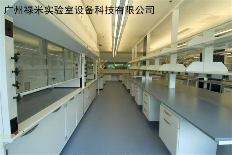 實驗室基本操作與雜質(zhì)和安全