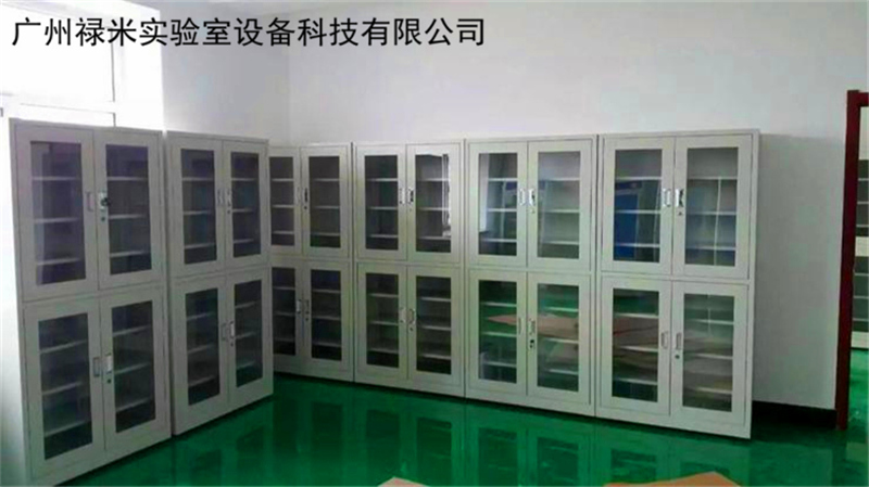 祿米實(shí)驗(yàn)室物品儲存柜有哪些產(chǎn)品？