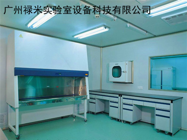 建立GMP實驗室目的是什么？