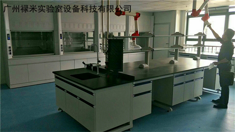 學(xué)?；瘜W(xué)實(shí)驗(yàn)室的規(guī)劃設(shè)計(jì)