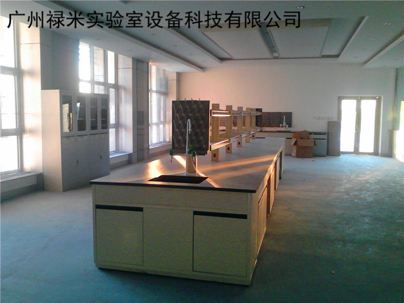 祿米實(shí)驗(yàn)室實(shí)驗(yàn)臺的發(fā)展和創(chuàng)新